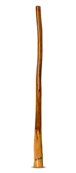 Wix Stix Didgeridoo (WS115)